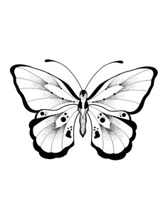 a black and white drawing of a butterfly