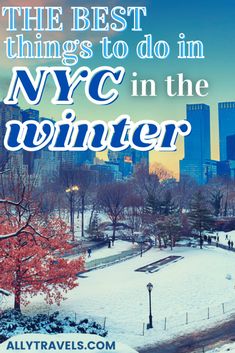 the best things to do in nyc in the winter