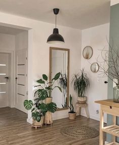 a living room filled with lots of potted plants next to a wooden table and mirror