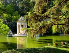 there is a gazebo in the middle of this pond with ducks swimming around it