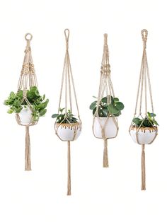 three hanging planters with plants in them