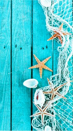 starfish, shells and net on blue wood background