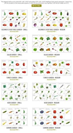 an illustrated poster showing different types of vegetables