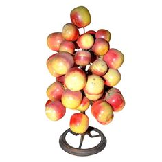 an apple tree is shown with apples on it's top and bottom branches in the middle