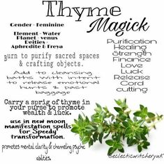 Herb Meanings, Herb Magick, Plant Remedies, Root Work, Herb Guide, Herbal Witch, Spells That Really Work, Birth Stones, Charmed Book Of Shadows