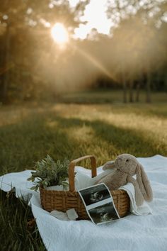 a stuffed animal sitting in a basket on top of a blanket next to a tree