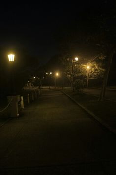 an empty street at night with lights shining on the trees and benches along side it