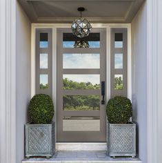 two potted plants sit on the front step of a door way to a house