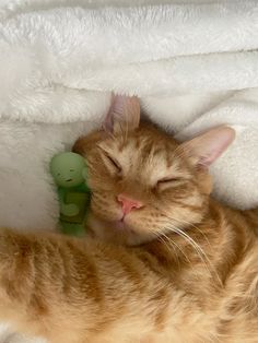 an orange cat sleeping on top of a white blanket next to a green stuffed animal