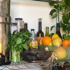 various fruits and vegetables on a shelf in a kitchen