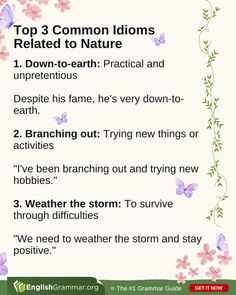 the top 3 common idioms related to nature are shown in this graphic below