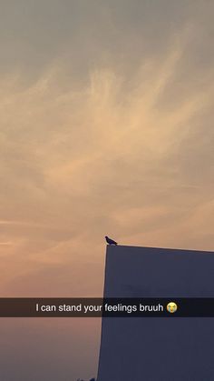 a bird sitting on top of a building with the sun in the distance behind it