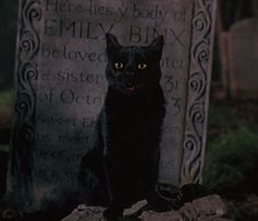 a black cat sitting in front of a grave