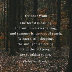 the forest is calling, the autumn leaves falling, and summer is just out of reach winter's still sleeping, the sunlight is freezing, and the old trees are speaking to me