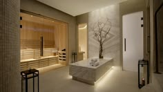 a bathroom with a large bath tub next to a wooden sauna