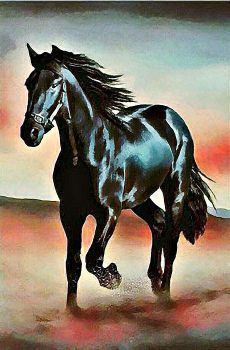 a painting of a black horse running in the desert with red and blue sky behind it