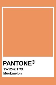 pantone's peach hue is shown with the text pantonee on it