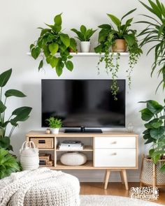 a living room with plants on the wall and a flat screen tv in the corner