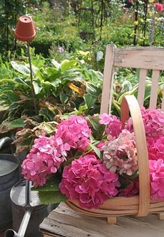 a basket filled with pink flowers sitting on top of a wooden table next to a potted plant