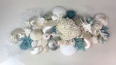 there are many seashells on the wall and one is white with blue accents