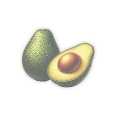 an avocado cut in half on a white background