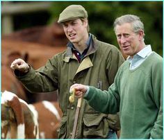 two men standing next to each other in front of cows