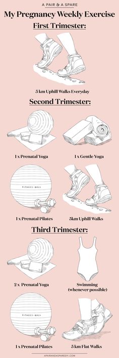 an info sheet showing different types of boats