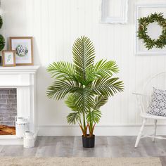 Create a relaxing atmosphere in your home or office with this artificial areca palm tree boasting various tiers of realistic foliage fanning upwards from an accompanying nursery planter. Standing tall and proud at 54” high, this impressive fake tree will provide year-round freshness wherever exhibited. Fake Palm Tree, Kentia Palm, Areca Palm, Fake Trees, Silk Tree, Floor Plants, Faux Tree, Potted Trees, Artificial Tree