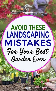 the words avoid these landscaping mistakes for your best garden ever