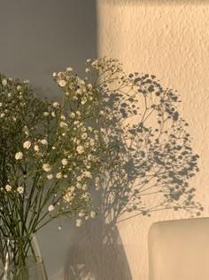 a vase filled with white flowers next to a wall and shadow on the wall behind it