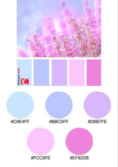 the color scheme for pink and blue is shown in this image, with different shades