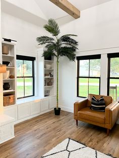 a living room filled with furniture and a tall palm tree in the middle of it