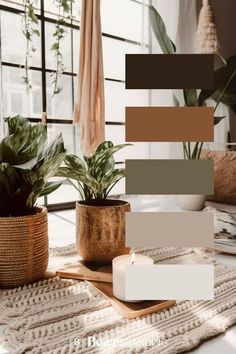 some plants are sitting on a table in front of a window with shades of brown and white