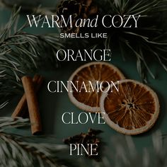 Our Warm and Cozy reed diffuser will take you to a place by a warm fire, with cozy blankets, in your PJ's, enjoying the scents of the season. With notes of pine, orange, cinnamon, cypress, and fir - it makes a perfect diffuser to use during the holiday season. Warm + Cozy candle was voted "Best Fall Candle Overall" by Forbes Vetted (2022)! Infused with natural essential oils: orange, cinnamon, clove, vetiver, pine SCENT NOTES: Top: Orange Peel, Cinnamon, Ginger Middle: Clove, Cypress Base: Vetiv Essential Oil Diffuser Blends Recipes, Fall Candle, Essential Oil Blends Recipes, Cozy Candles, Clear Jars, Scent Notes, Amber Jars, Essential Oil Diffuser Blends, Oil Diffuser Blends