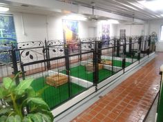 an indoor caged in area with green grass