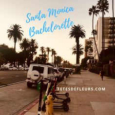 there are many scooters lined up on the side of the street with palm trees in the background