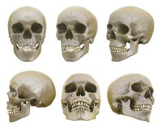 an image of skulls with different facial expressions