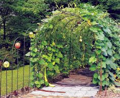 an arch covered in green leaves next to a stone walkway and fenced in area