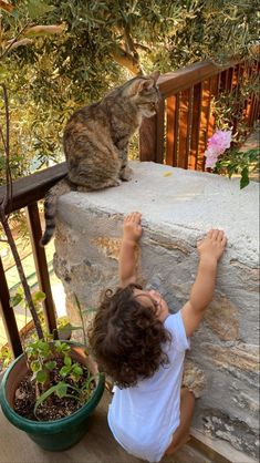 a small child reaches up to pet a cat on the side of a porch railing