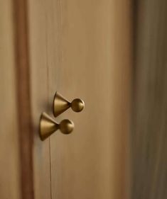 an open door with brass handles and knobs