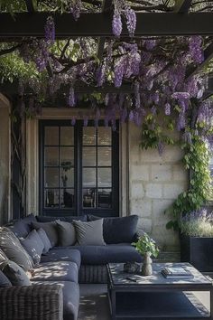 an outdoor living room with wistery vines hanging from the ceiling and couches