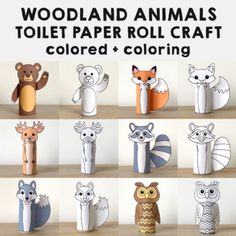 several different types of animal toilet paper roll crafts