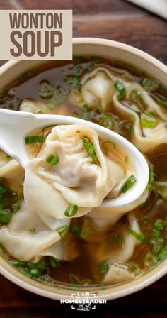 wonton soup in a bowl with a spoon