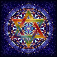 Flower Of Life Symbol, The Star Of David, Sacred Geometry Mandala, Esoteric Symbols, Platonic Solid, Metatrons Cube