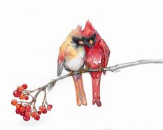 two birds sitting on a branch with berries in their beaks, one is red and the other is yellow