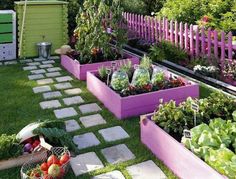 a garden filled with lots of plants next to a wooden fence and purple picket fence