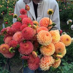 a man holding a bunch of flowers in his hands