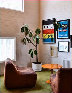 a living room filled with furniture and a potted plant