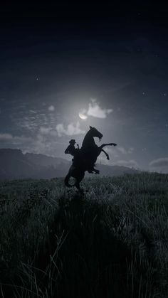 a horse and rider galloping in the moonlight