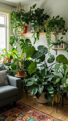 25 House Plants Decoration Ideas for a Modern Minimalist Home Plants Decoration Ideas, Plant Decor Living Room, Modern Minimalist Decor, Nature Room, Plant Goals, Modern Minimalist Home, Plant Parent, Living Room Plants, Inside Plants